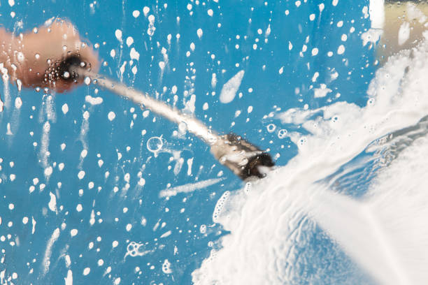 Animal Enclosure Cleaning in Fort Collins, CO
