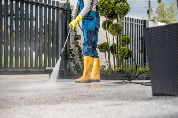 Best Building Exterior Washing  in Fort Llins, CO